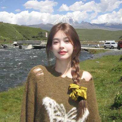圣方济传